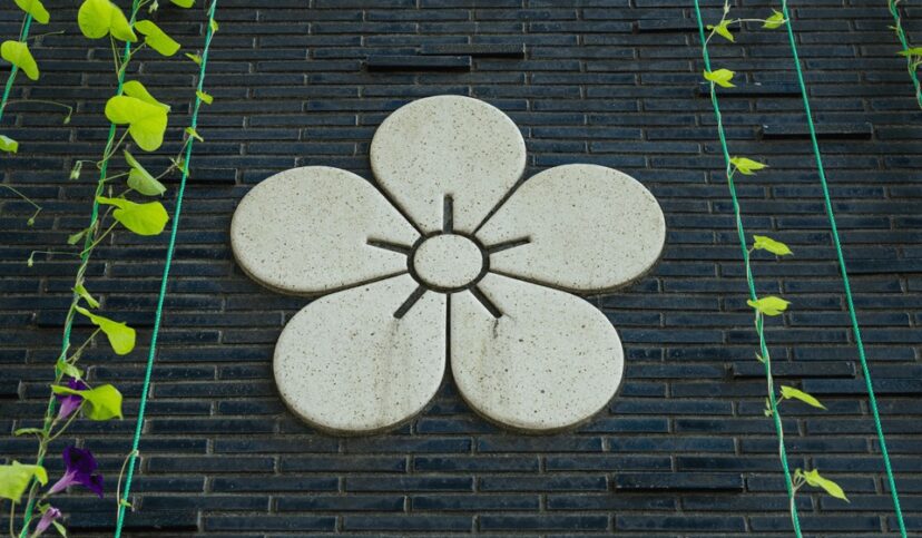 太宰府市のシンボル梅の花