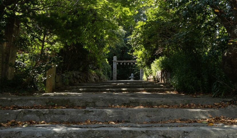 櫻井神社への一本道