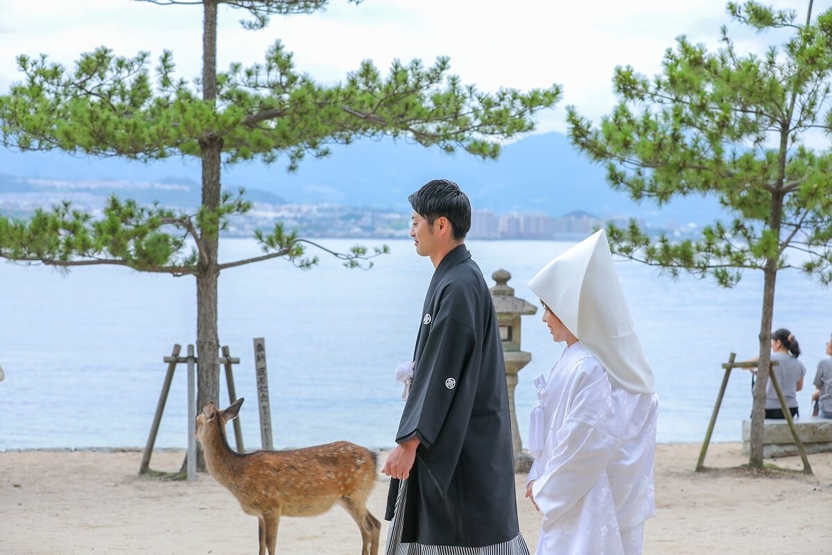 嚴島神社限定プランギャラリー