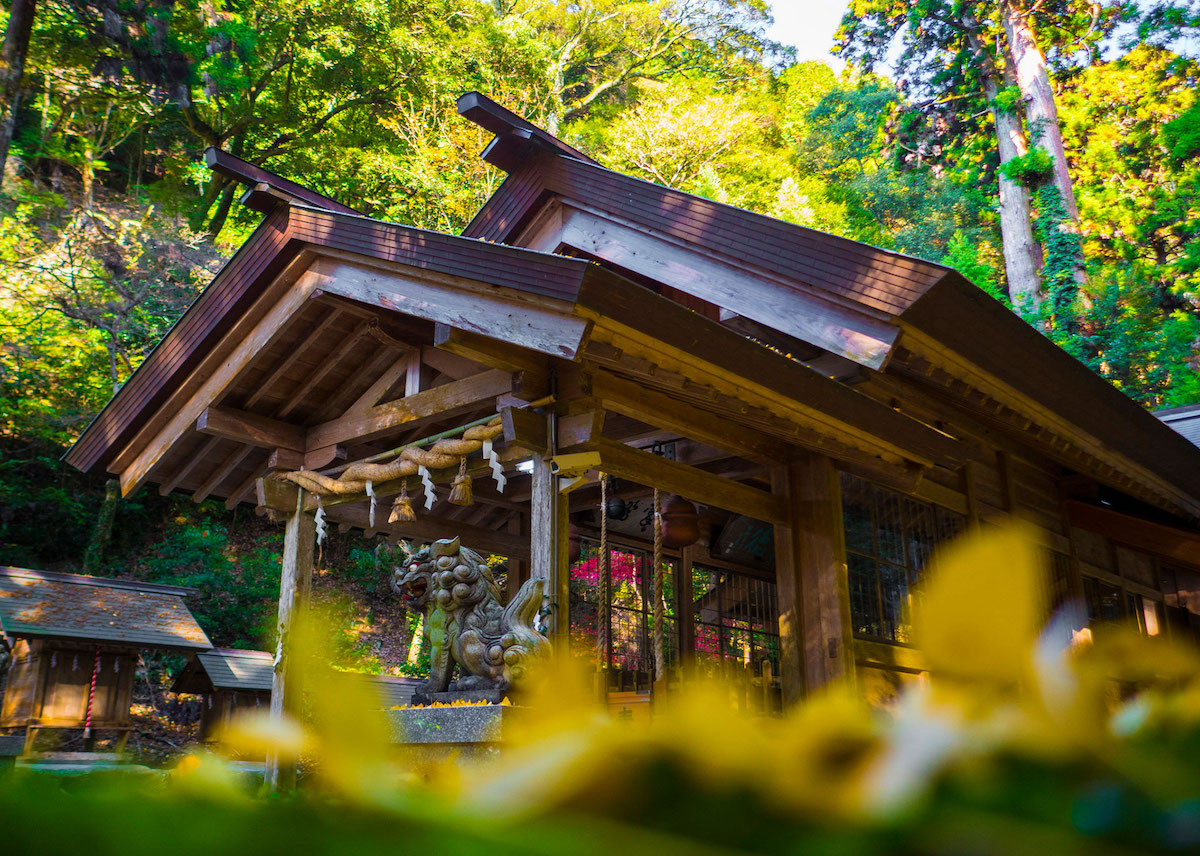 伊野天照皇大神宮