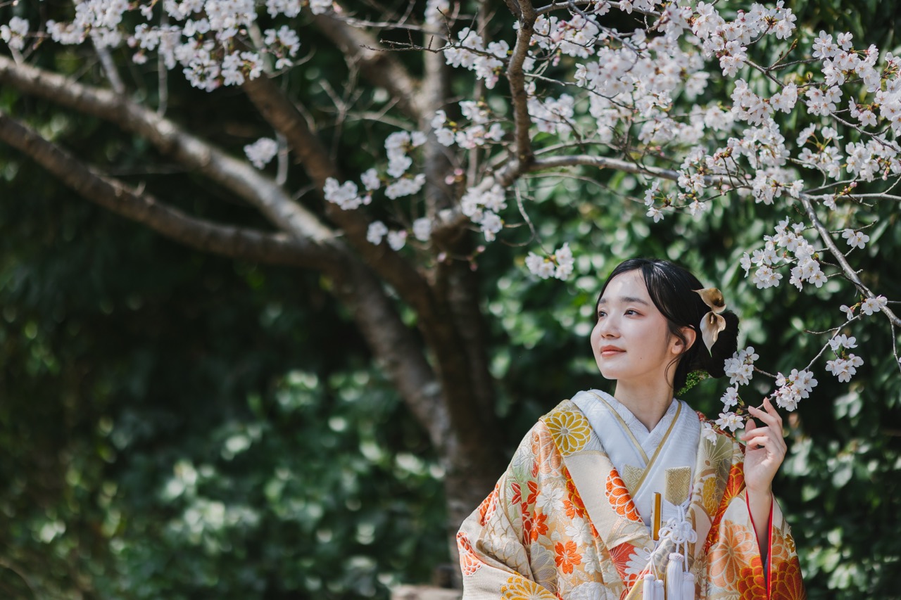 オーガンジー打掛とはどんな和装？おすすめのデザインを紹介 | 和婚の 