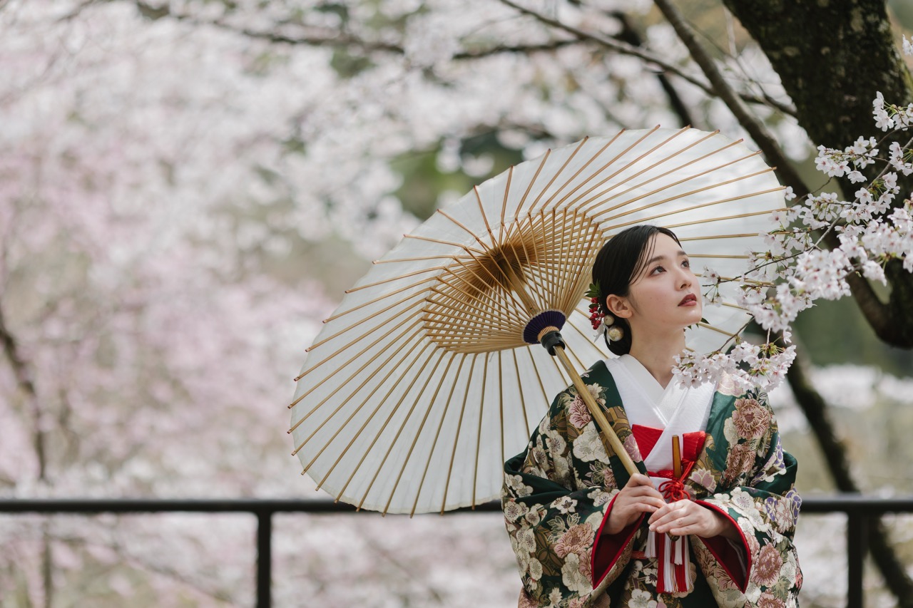 オーガンジー打掛とはどんな和装？おすすめのデザインを紹介 | 和婚の
