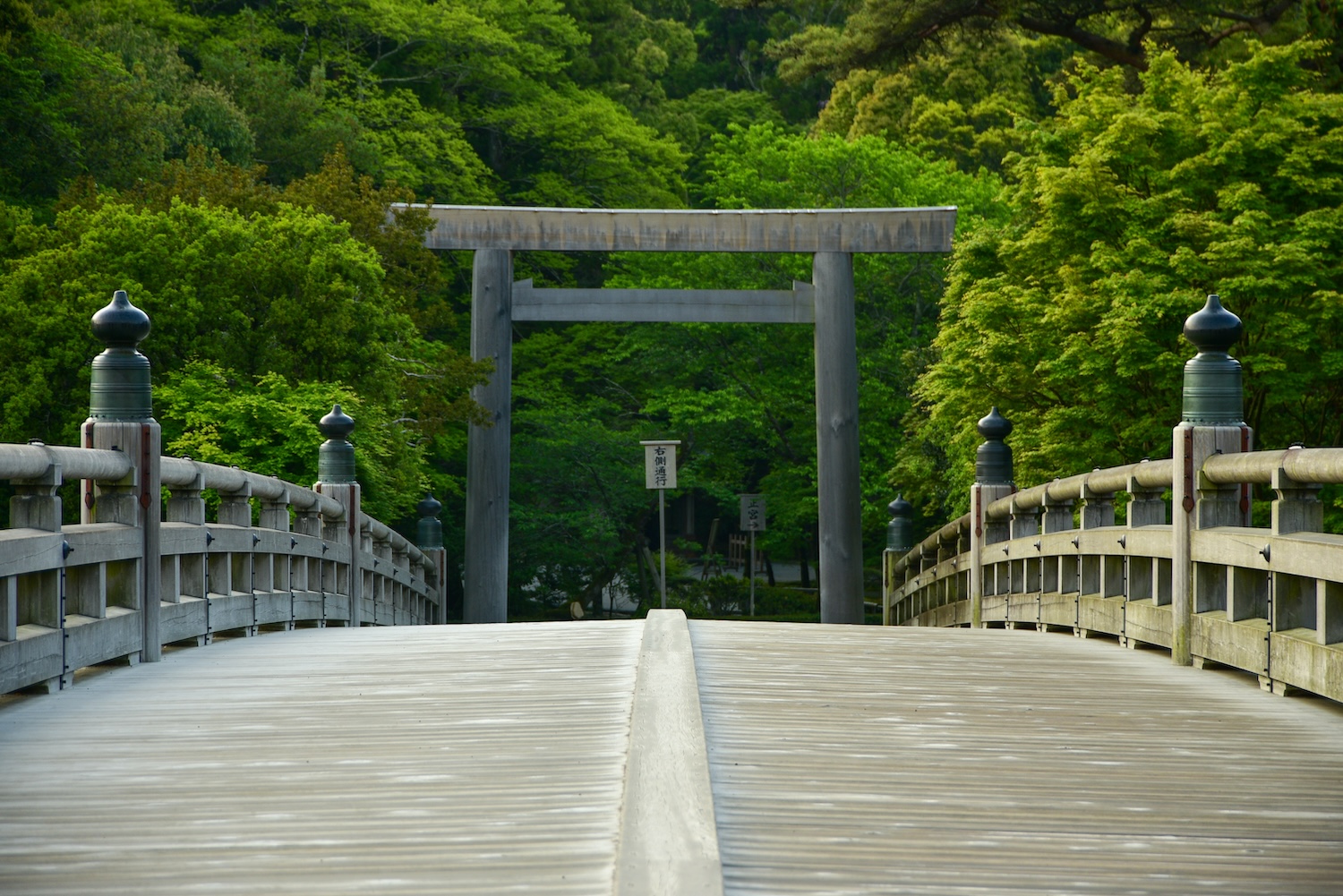 伊勢神宮の境内での和装姿の新郎新婦