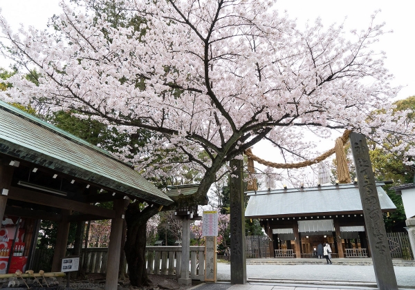 伊勢山皇大神宮