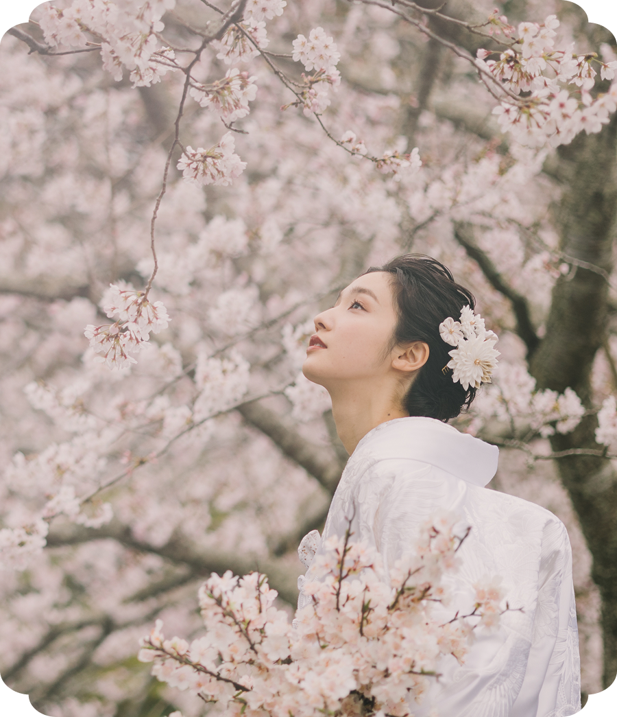  48,800円から叶う神社＆仏閣での結婚式 