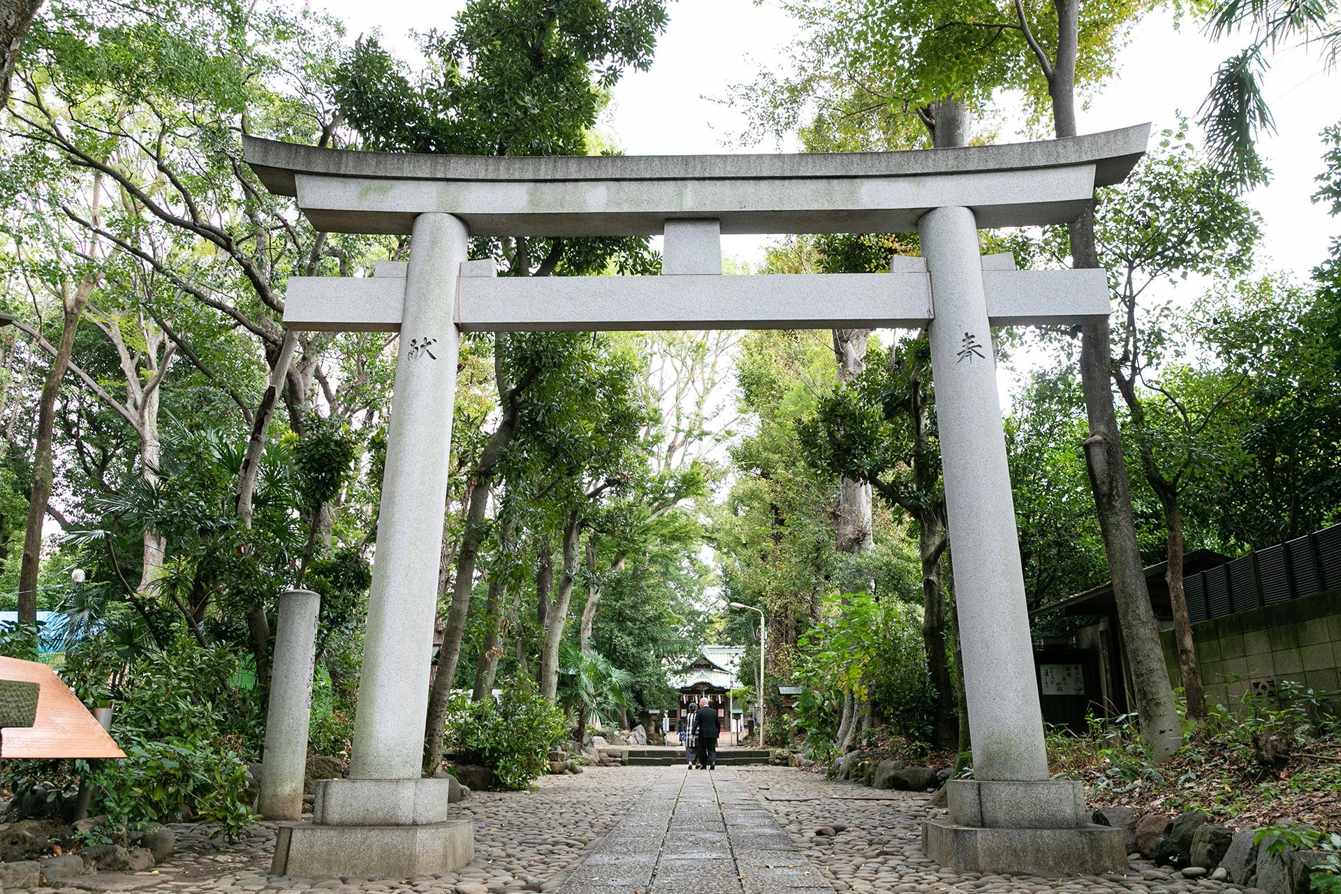 都会の中の緑豊かな癒しの空間創り