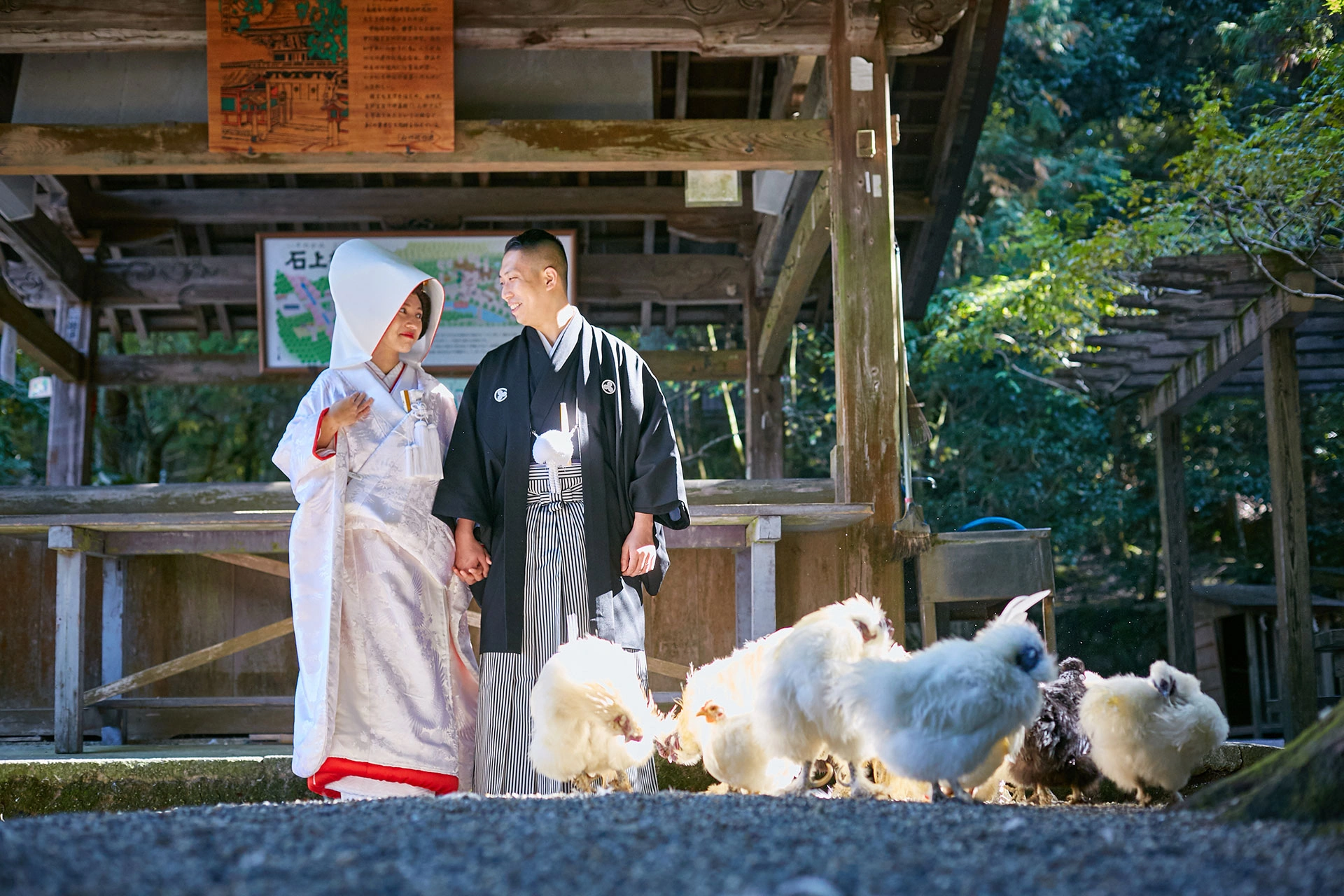 神聖な御神鶏が迎える由緒ある境内