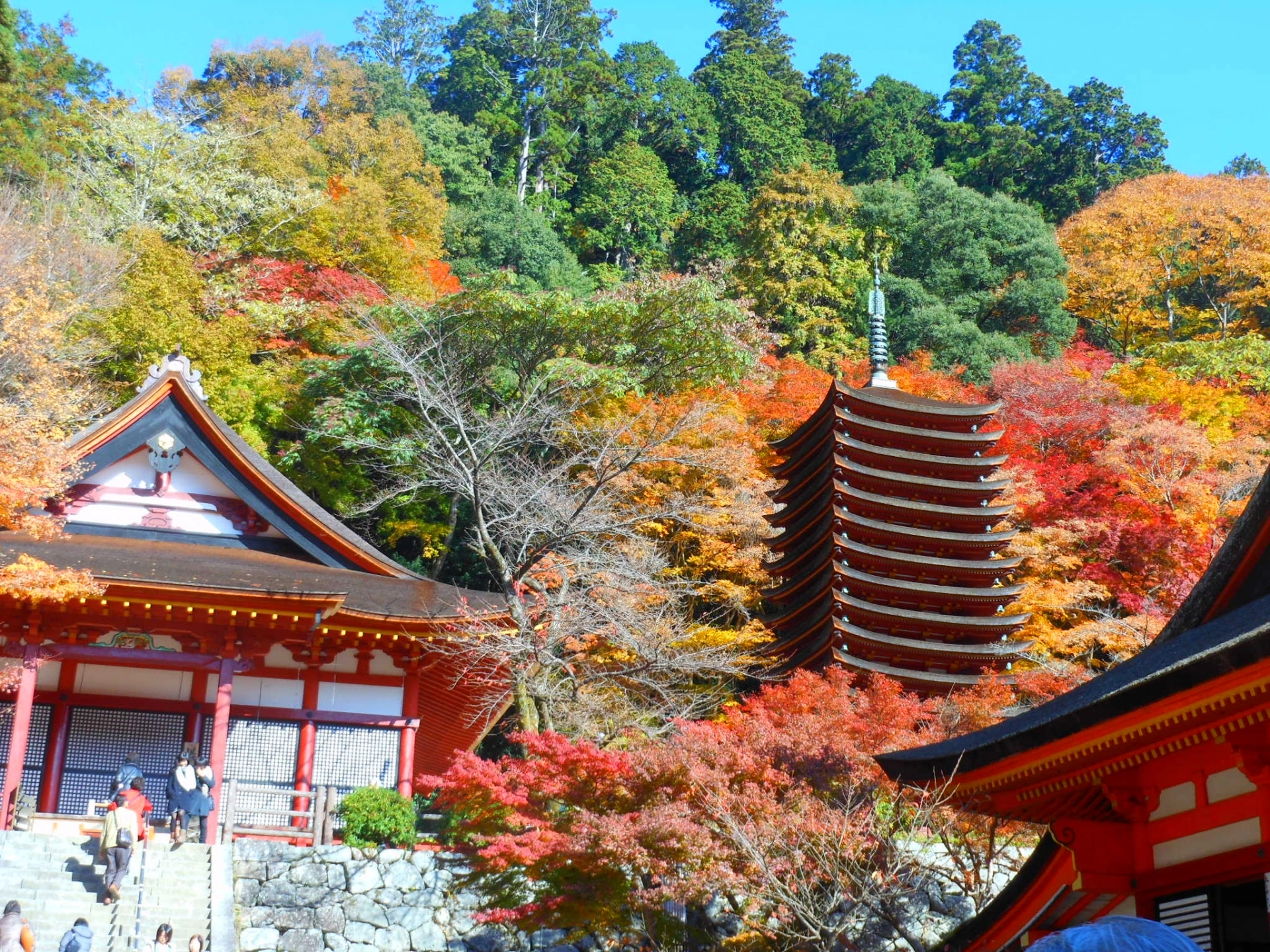 談山神社のメイン画像