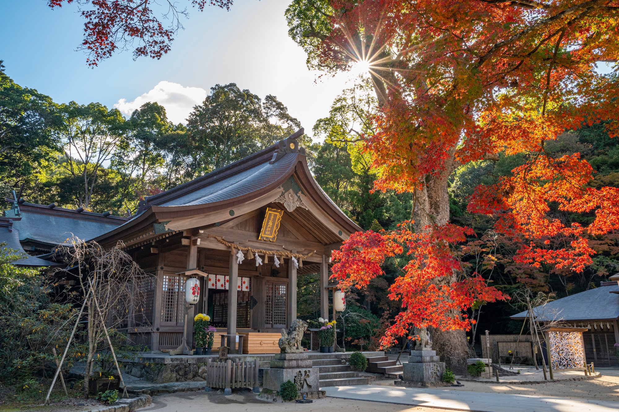 宝満宮 竈門神社のメイン画像