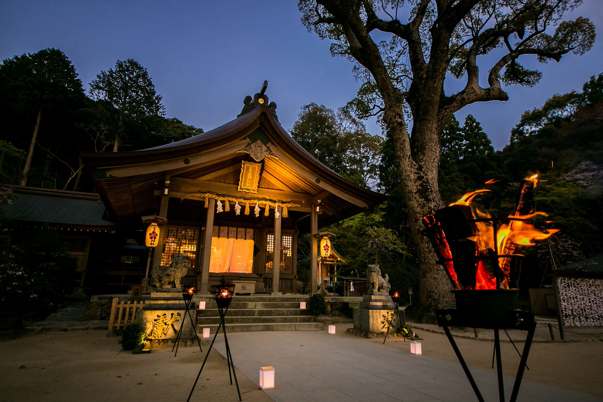 宝満宮 竈門神社のサブ画像4