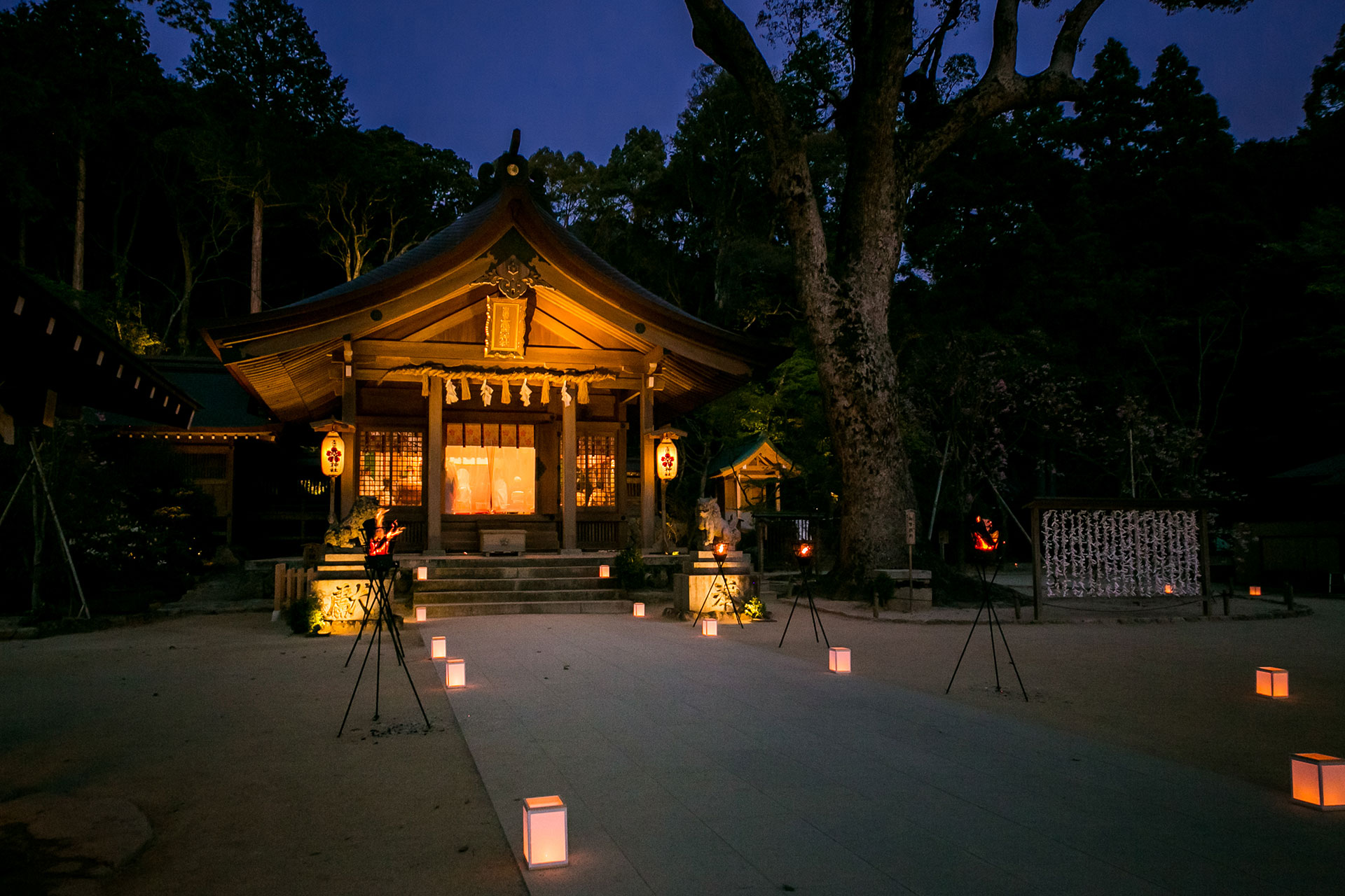 神灯り式で執り行う幻想的な宵の婚礼