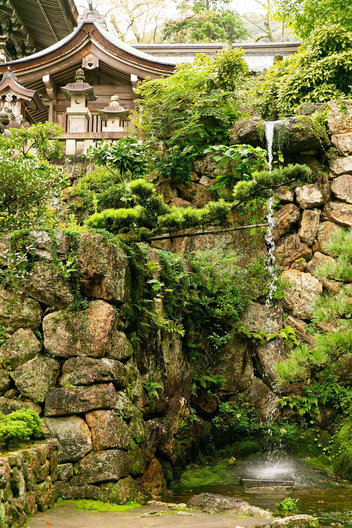 パワースポット豊富な由緒ある社