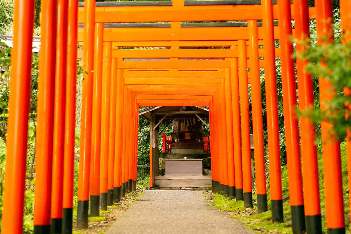 豊富な写真スポットで彩る神前結婚式