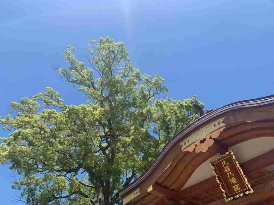 駅から徒歩7分の好アクセスの社