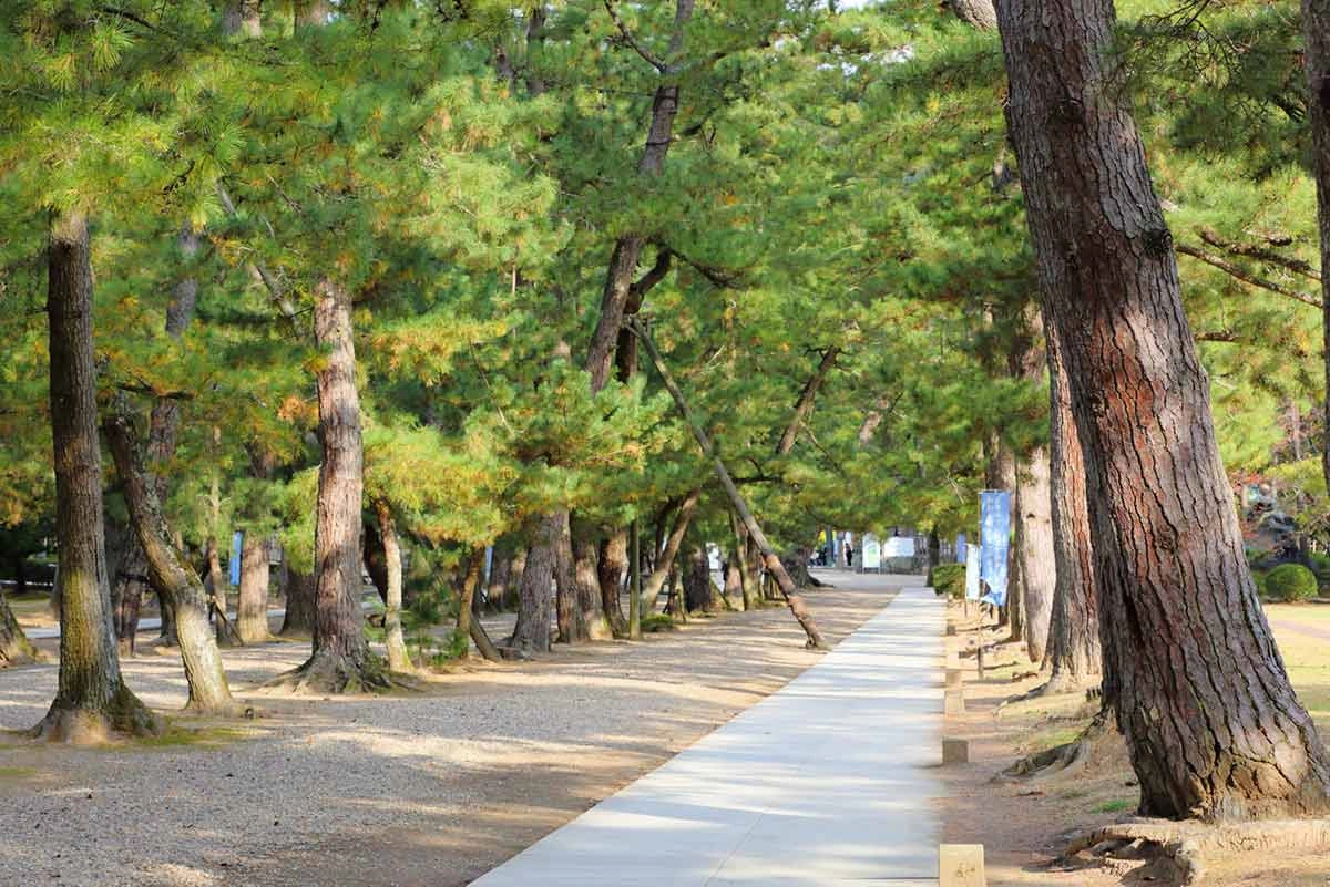 名松百選に選ばれた由緒ある参道