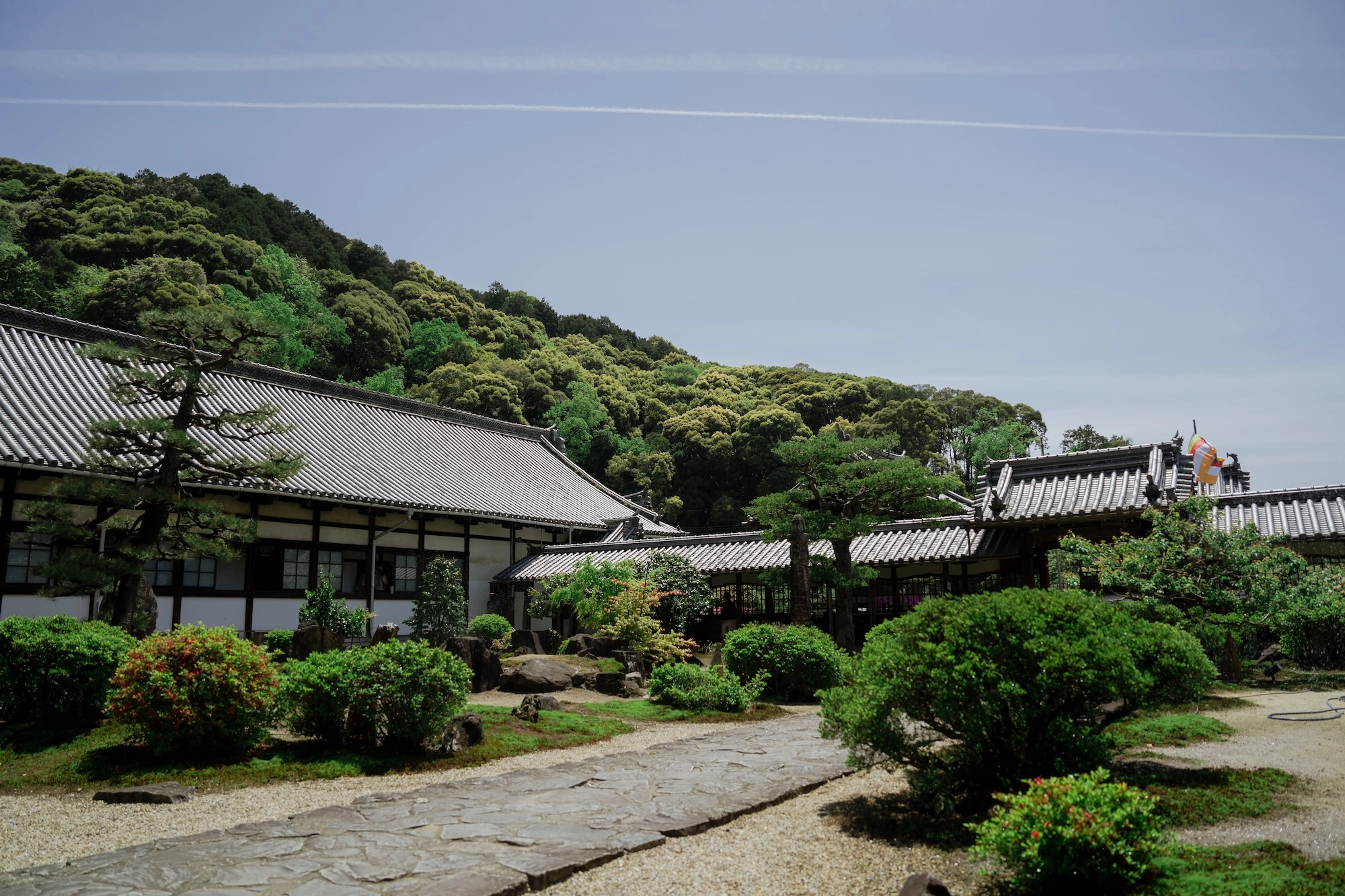 曹洞宗 仏徳山 興聖寺のサブ画像3
