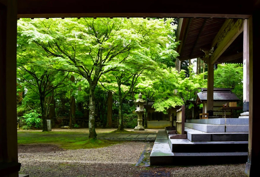 高野山 真言宗別格本山 呑山観音寺 サムネイル3