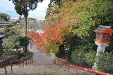 六殿神社 サムネイル4
