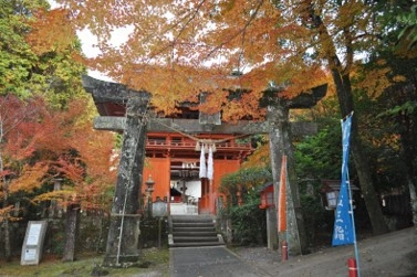 森に包まれた歴史ある御本殿での挙式
