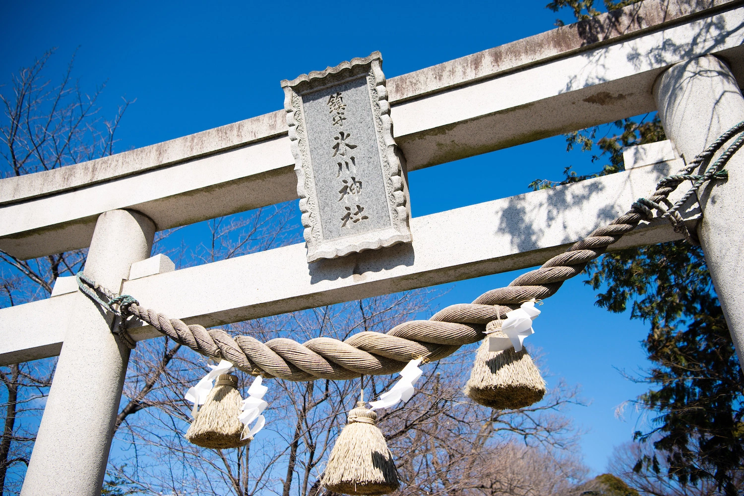 鎮守氷川神社のサブ画像2