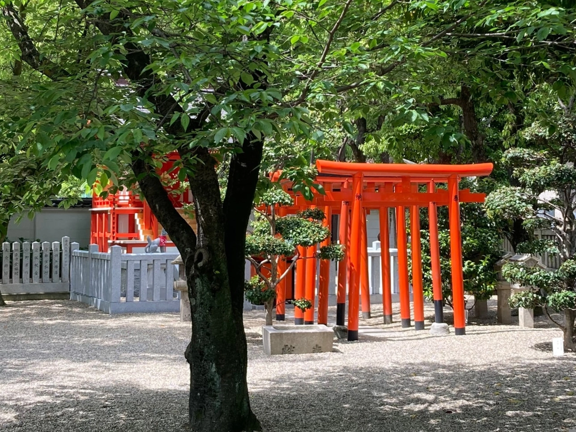 三社神社のサブ画像4