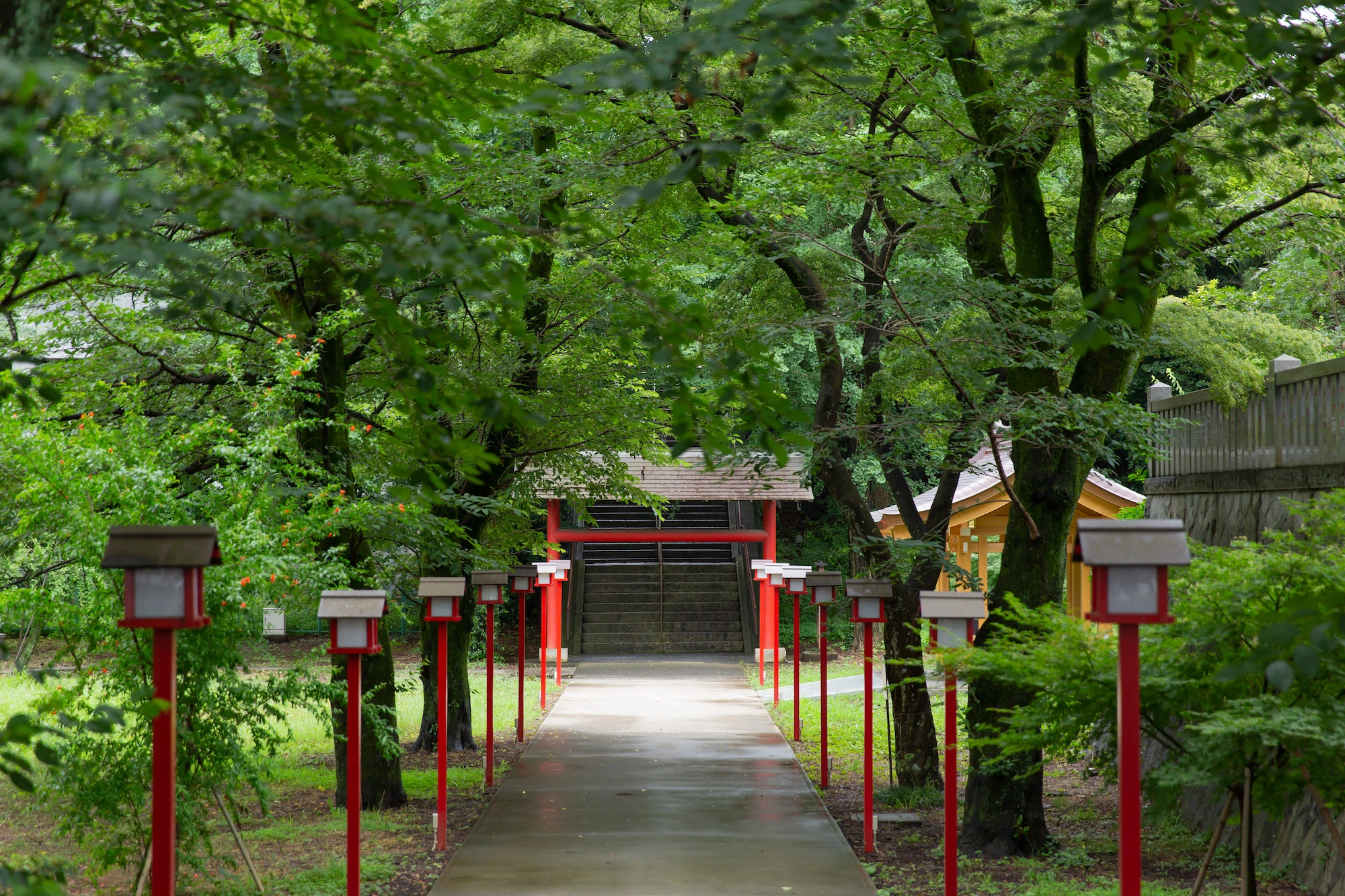 豊かな緑に包まれる厳かな社