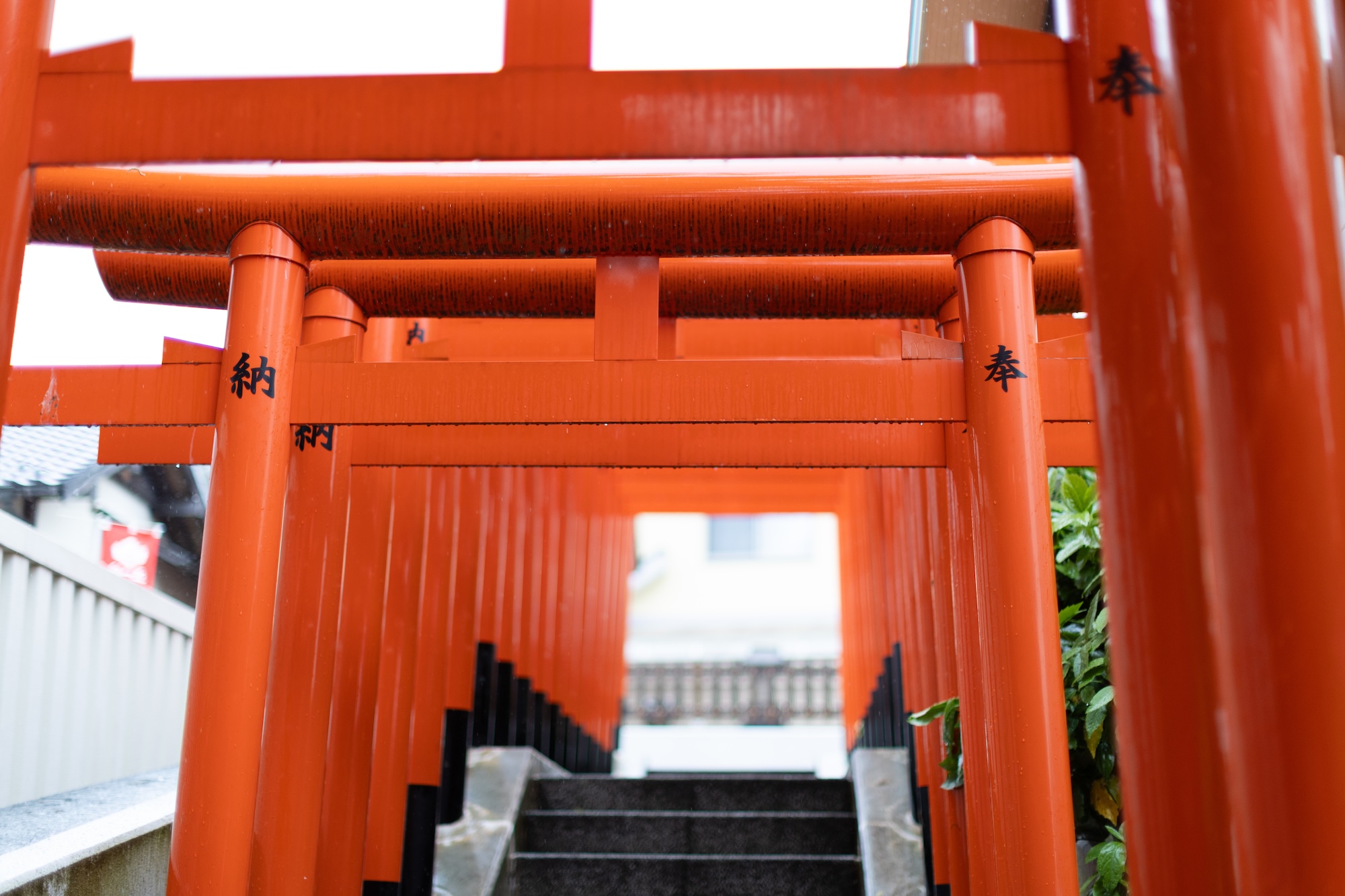 神鳥前川神社のサブ画像3