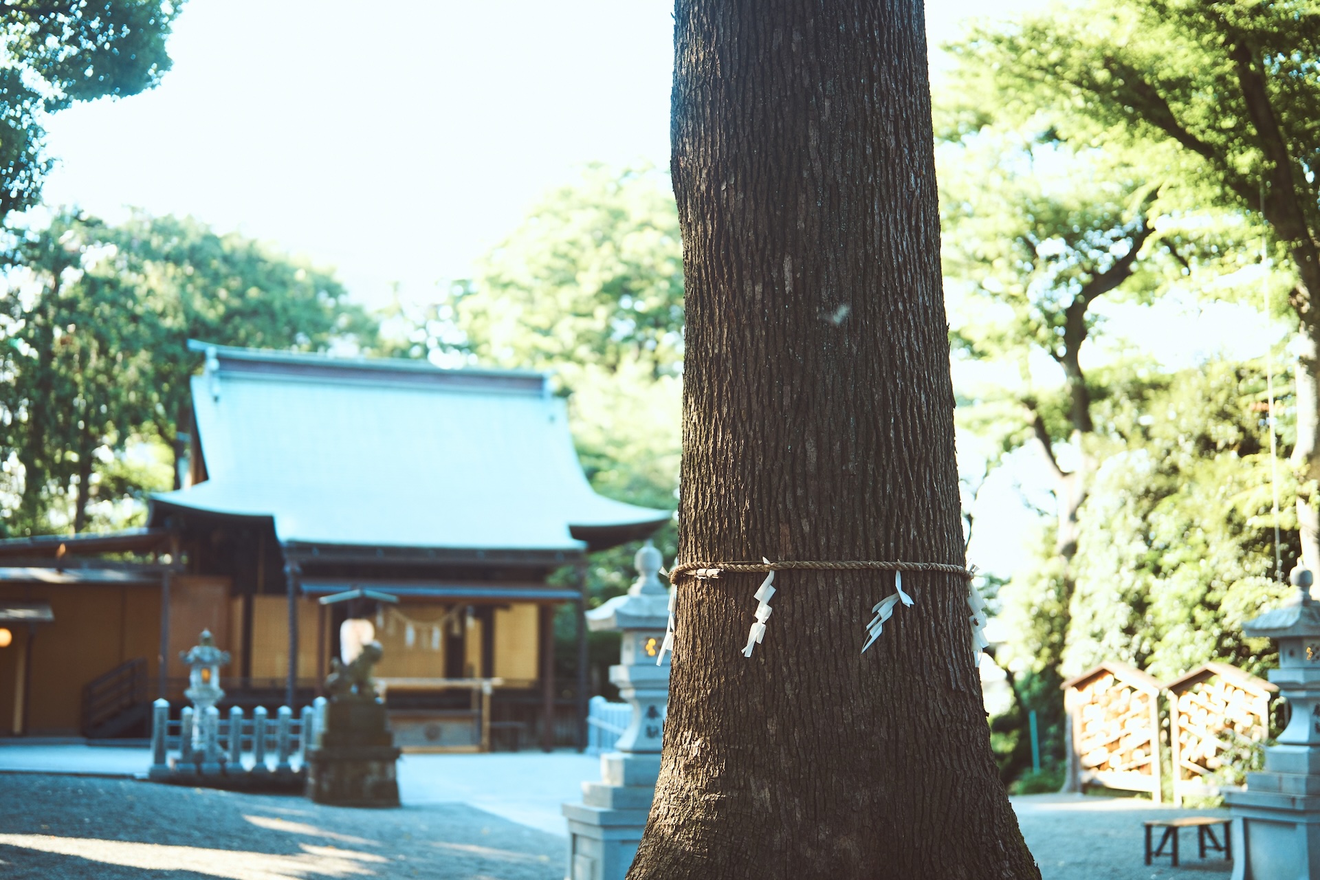 星川杉山神社のサブ画像3