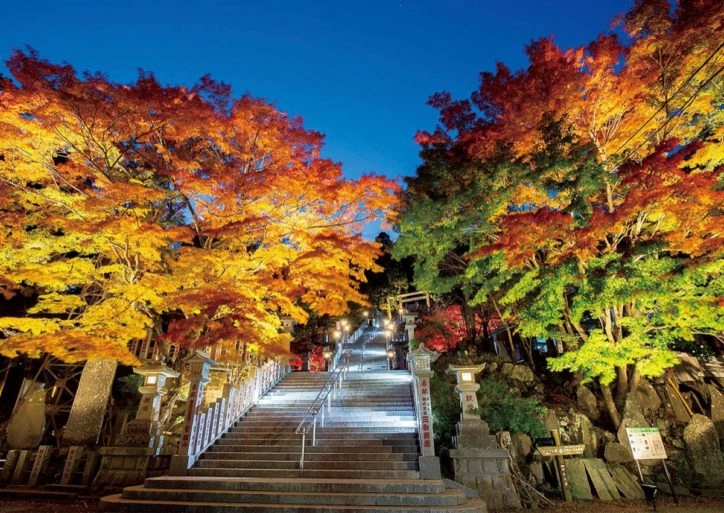 大山阿夫利神社 下社のサブ画像2
