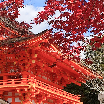 和婚スタイルの結婚式