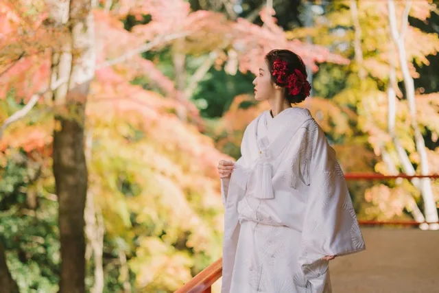 紅葉を見上げる白無垢の花嫁