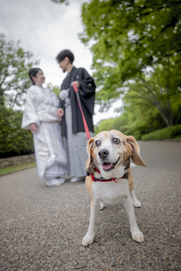大仙公園の撮影スポット8