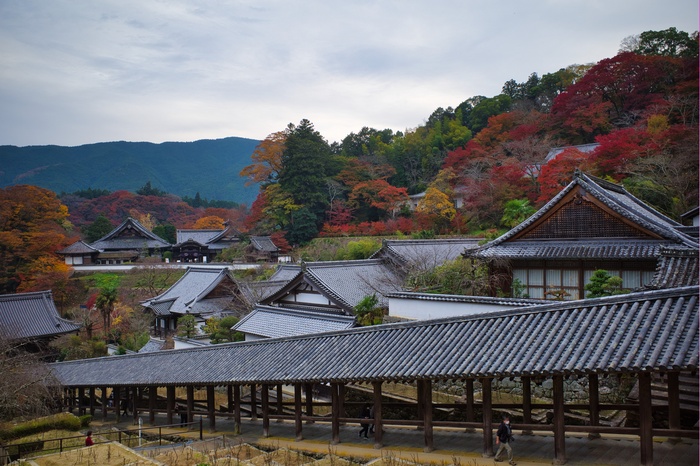 長谷寺の撮影スポット1
