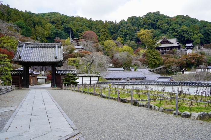 長谷寺の撮影スポット7