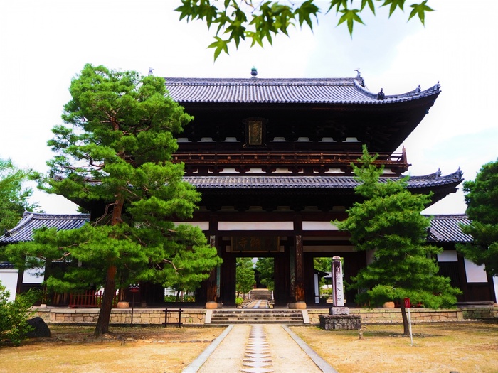 黄檗山太本山 萬福寺の撮影スポット2
