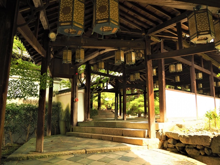 黄檗山太本山 萬福寺の撮影スポット4