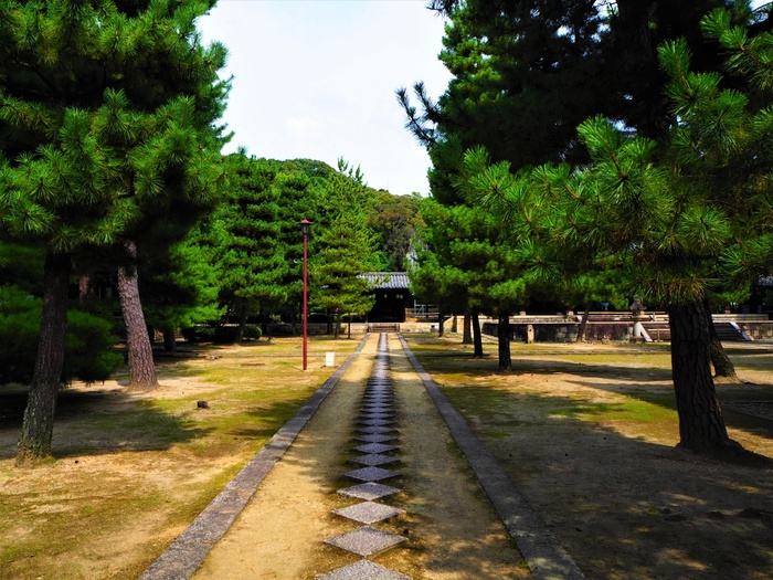 黄檗山太本山 萬福寺の撮影スポット5