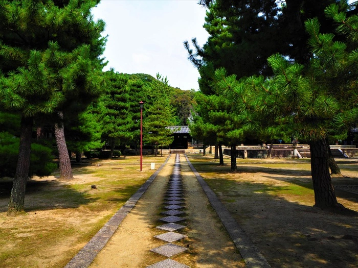 黄檗山太本山 萬福寺の撮影スポット5