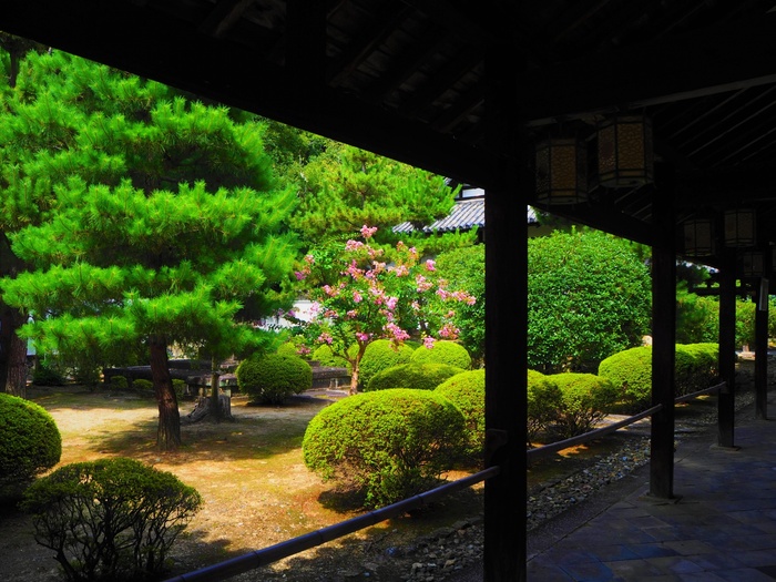 黄檗山太本山 萬福寺の撮影スポット7