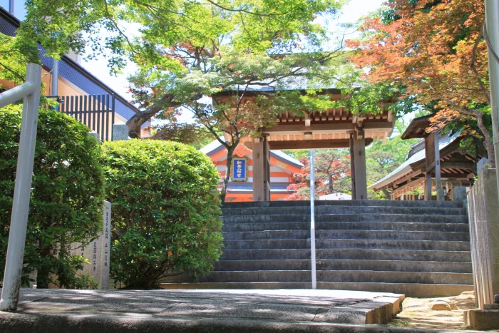 紅葉八幡宮の撮影スポット2