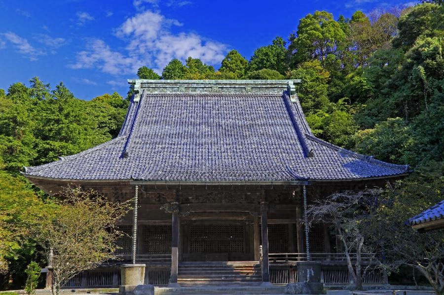 妙本寺の撮影スポット1