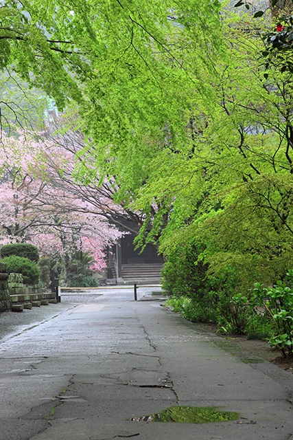 妙本寺の撮影スポット3