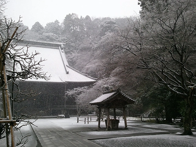 妙本寺の撮影スポット7
