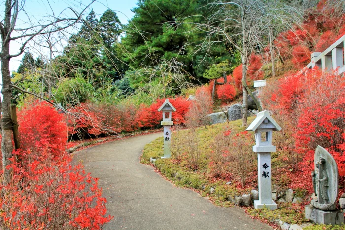 呑山観音寺の撮影スポット2