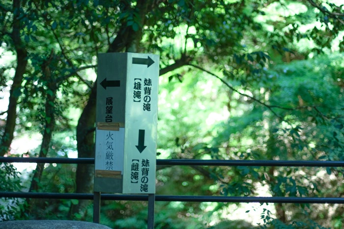 大頭神社の撮影スポット5