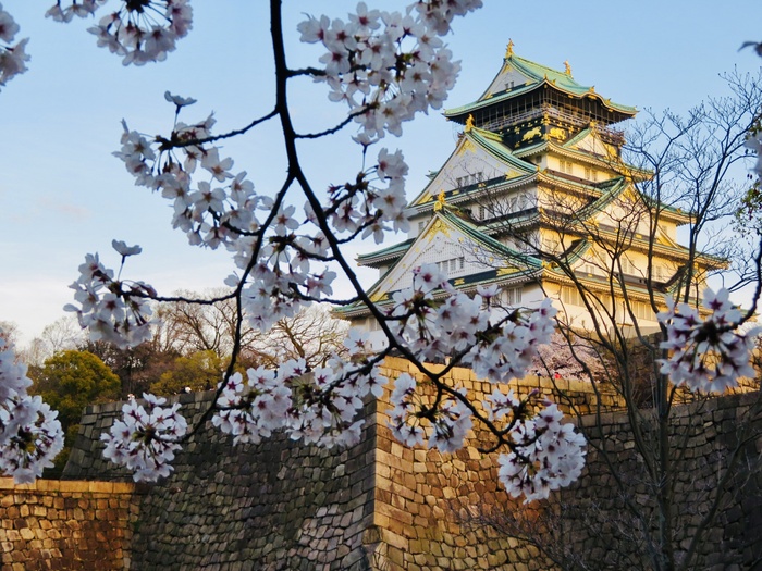 大阪城公園の撮影スポット2