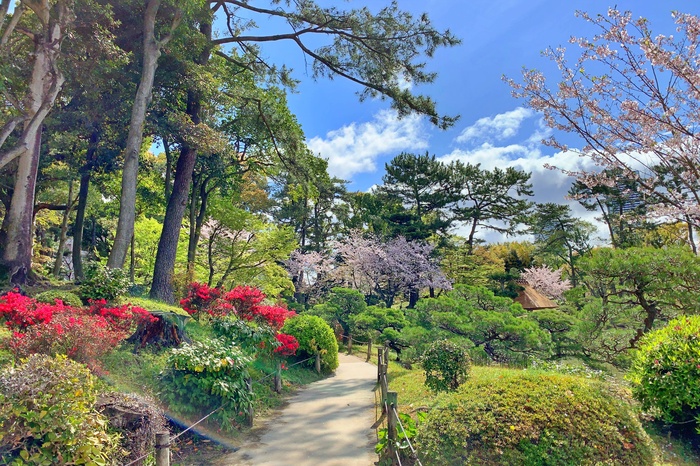 縮景園の撮影スポット2