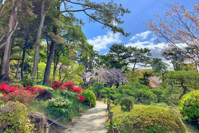 縮景園の撮影スポット2
