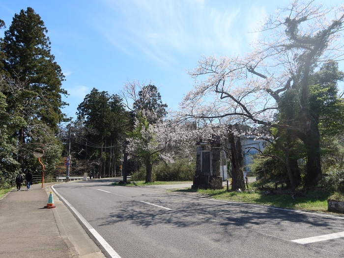 縮景園の撮影スポット3