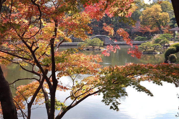 縮景園の撮影スポット5